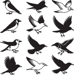 Fototapeta premium Elegant Bird Line Art Minimalist Black and White Bird Vector Illustrations