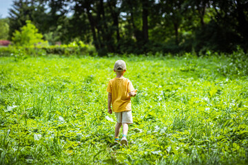 A lonely little boy on a walk in the park
