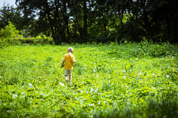 A lonely little boy on a walk in the park
