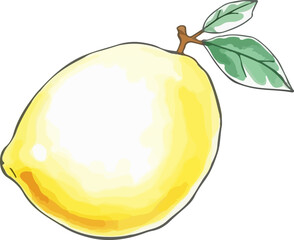 Watercolor vector illustration of lemon.
