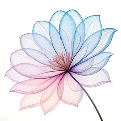Ethereal Bloom: An elegant flower, its delicate petals are rendered in translucent hues, showcasing nature's intricate artistry, and the ephemeral beauty of floral forms.