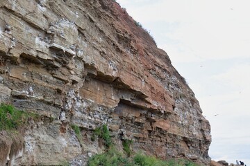 Cliffside in the daytime. The side of the cliff shows different stratified layers of tan, brown, and white  in Staithes - North Yorkshire - United Kingdom
