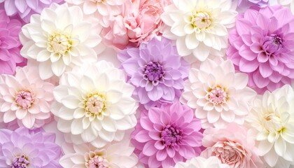 Delicate pastel flowers in a soft color gradient