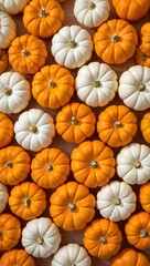 Autumn pumpkins background, fall harvest, halloween pumpkins, white and orange gourds