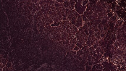 A honeybee gathering nectar from a bright yellow sunflower in a garden on a sunny day in the summer