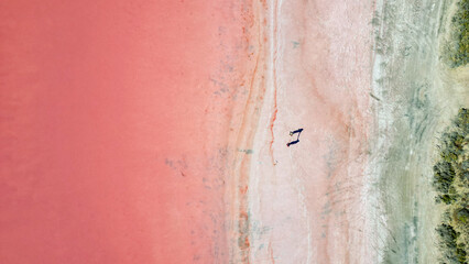 Two people standing at the shoreline of a pink lake, casting shadows, seen from above
