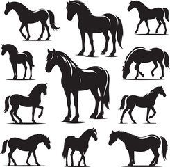 horse silhouettes collection vector illustration design
