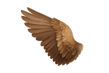 Brown Bird Wing Spanning with Transparent Background