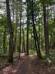 Fototapeta premium scenery in Karuizawa, Nagano, Japan 