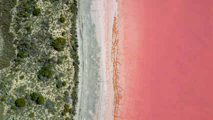 Pink lake next to the coast, divided by streams and streets, seen from above