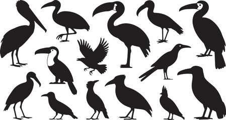 Obraz premium Diverse bird silhouettes featuring toucans ibises and crows birds