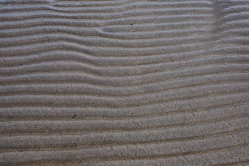 texture of sand