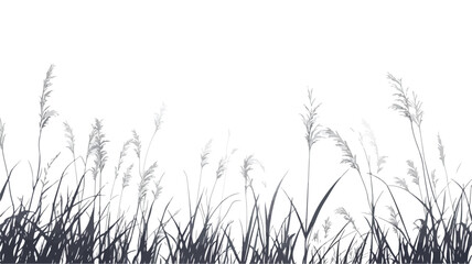 Wide Angle Tall Grass on White Background
