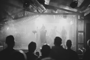 Join us for a captivating dynamic live music performance taking place in a dimly lit venue