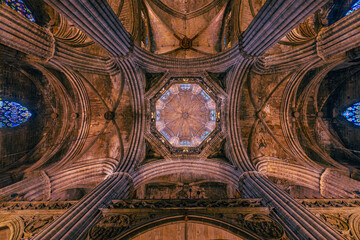 Cathedral Ceiling's Stone Embrace