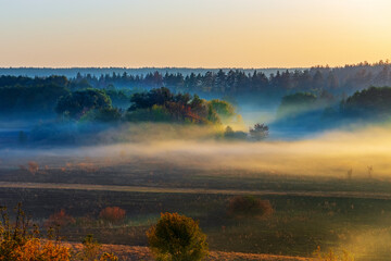 Sunny morning with fog over the meadow and enveloping the trees in the forest. Aerial view of a picturesque morning landscape in the countryside. Nature of the forest-steppe of Ukraine