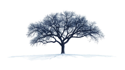 Fototapeta premium Winter Tree Outdoors Nature Landscape Scene