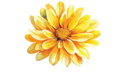 Vibrant Yellow Flower on White Watercolor