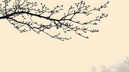 Silhouette of a Tree Branch in Springtime