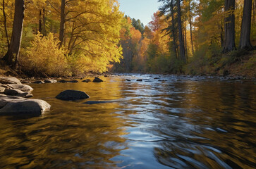 Obraz premium Shallow clear river moving gently between dense autumn trees under cinematic warm light viewed from eye-level creating serene seasonal ambience highlighting reflections and soft organic