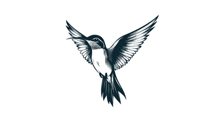 Obraz premium Elegant Hummingbird Wildlife Hovering Image