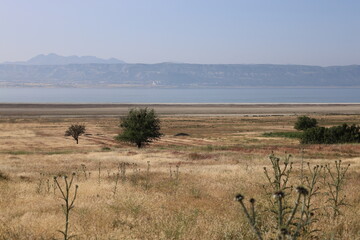 Golden wheat field. High quality photo