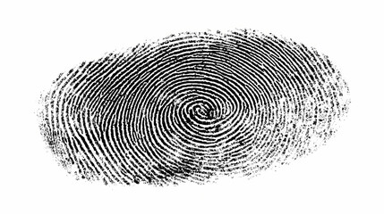 High resolution isolated black fingerprint on white background. helix trace. Illustration