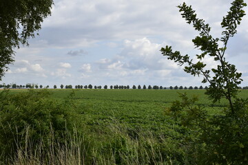 Landschaft und Wetter zwischen Hildesheim und Braunschweig 
