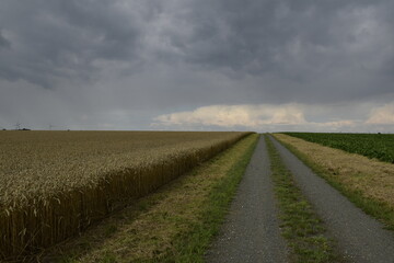 Landschaft und Wetter zwischen Hildesheim und Braunschweig 