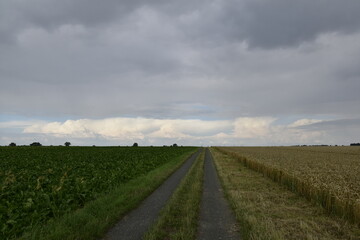 Landschaft und Wetter zwischen Hildesheim und Braunschweig 