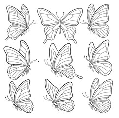 butterfly insect outline vector SVG line art