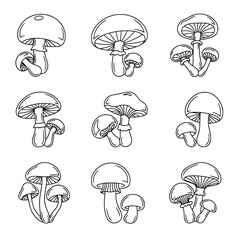 vector illustration of mushrooms SVG outline