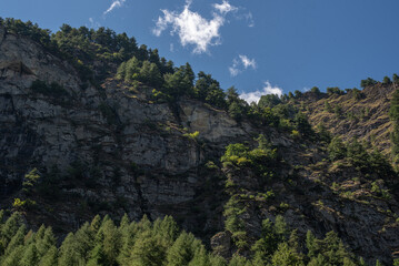 Panoramic view of the Alps with green mountains and blue lake in summer