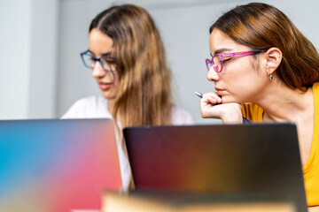 Two focused college students doing homework on laptops at home