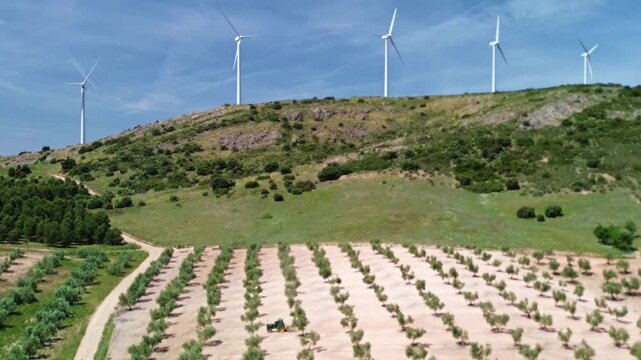 TRACTOR ARANDO CAMPO DE OLIVOS EN ESPA&Ntilde;A