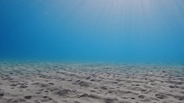 sun rays penetrate the seabed