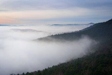 Wald im Nebel, Weitblick