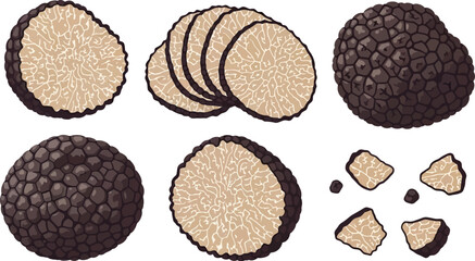Illustration of whole and sliced black truffles isolated on a white background vector art