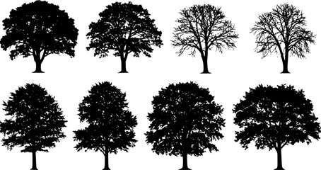 tree silhouettes
