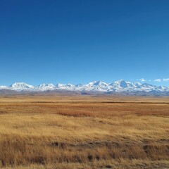 Fototapeta premium Vast, dry, golden plain stretches to snow-capped mountain range under a vibrant blue sky