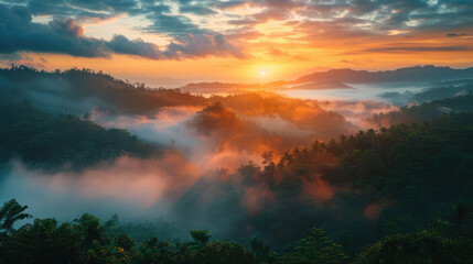 Sunrise over a misty, lush tropical forest. Golden light piercing through the morning fog. Serene landscape.