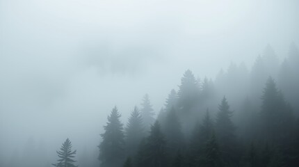 Enshrouded Heights: An ethereal vista unveils the silhouetted contours of a misty mountain ridge, the verdant evergreen trees disappearing into a dreamy expanse of fog. 