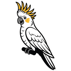 cockatoo