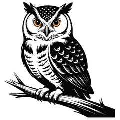 owl sitting on branch