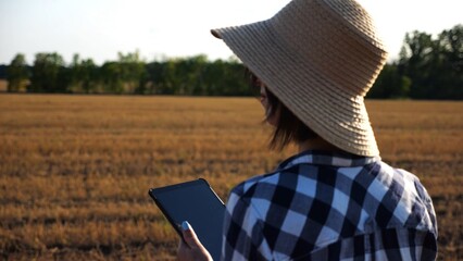 Adult farmer using digital tablet at wheat meadow on sunny day. Female agronomist monitoring harvest at barley field. Beautiful scenic landscape. Concept of agricultural business. Slow motion