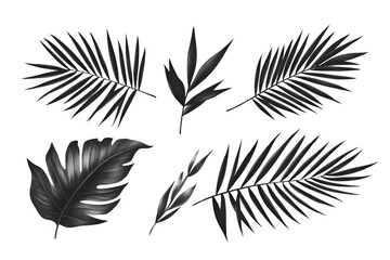 Elegant tropical leaves on black background adding a touch of exotic nature.