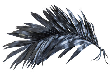 Silver Frond Elegance, Metallic Palm Leaf on Black Background, Minimalist Theme