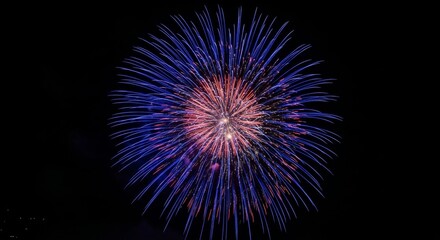 Fototapeta premium A vibrant blue and red firework explodes in the dark night sky, creating a dazzling display