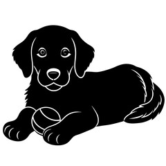 Black silhouette of a puppy lying down with a ball