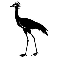 Black silhouette of a crested seriema bird
